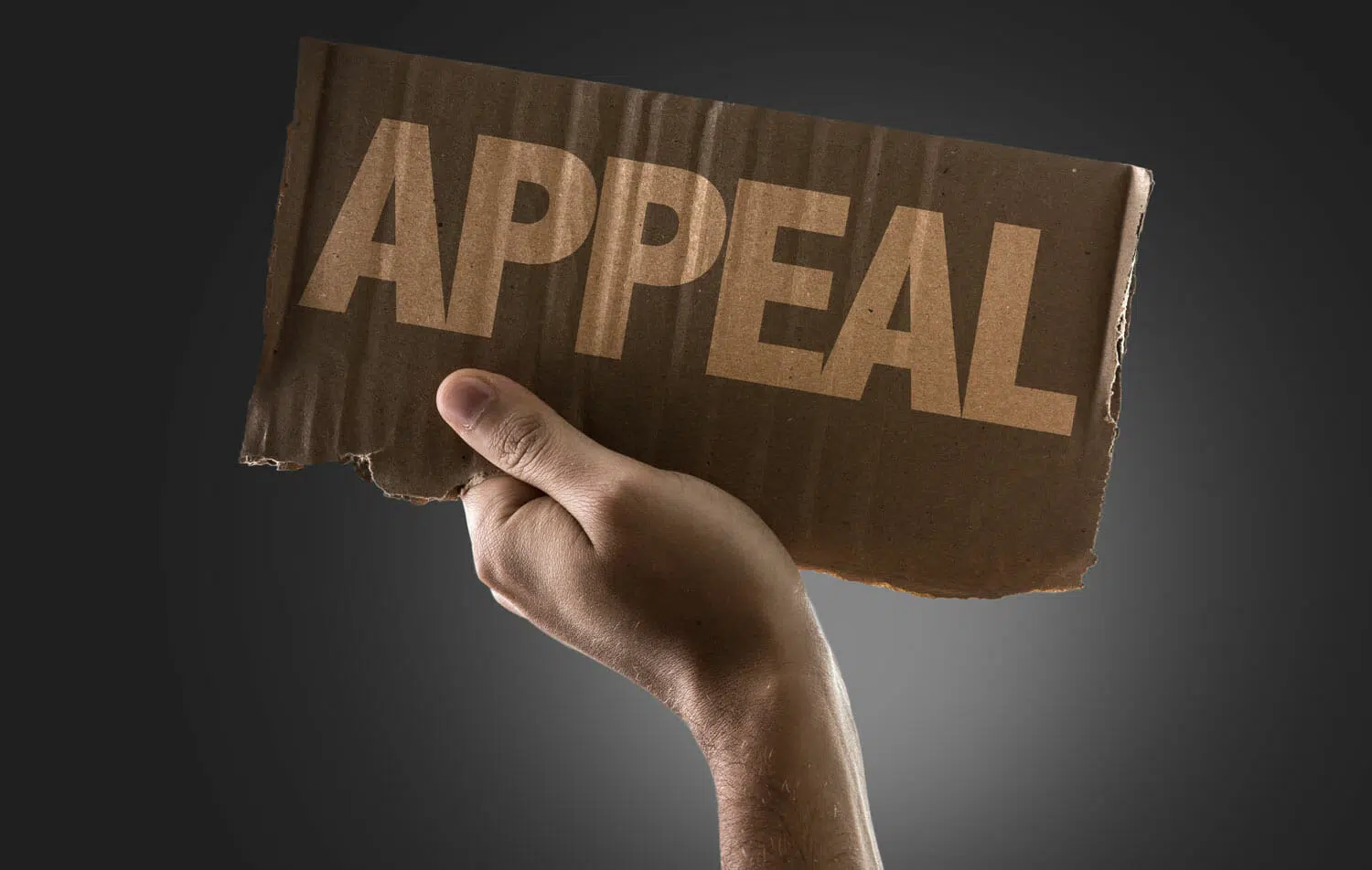 Appeal or Change a Child Support Order