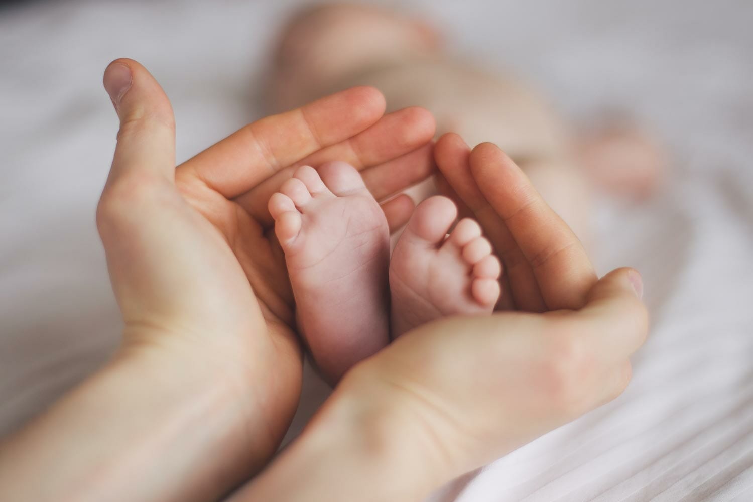 parental primacy in virginia law