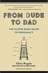 fatherhood book From Dude to Dad
