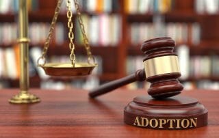 contesting adoption in Virginia