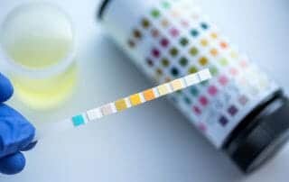 drug testing and custody cases