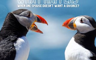 spouse doesn't want a divorce